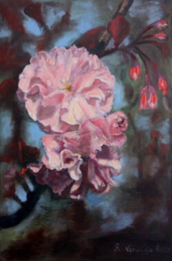 Fleur cerisier