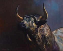 Toro bravo