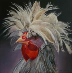 Le levé du coq