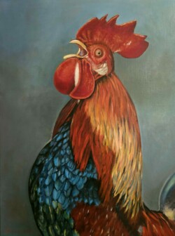 Au chant du coq