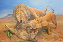 Lion, lionne et phacochère