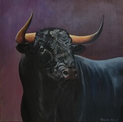 Toro fond violet
