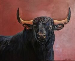 Toro fond rouge