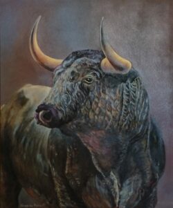 Toro fond bleu