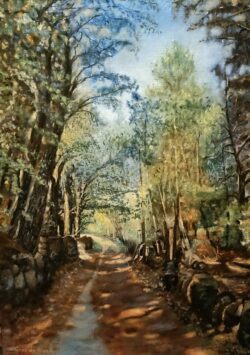 Chemin ombragé